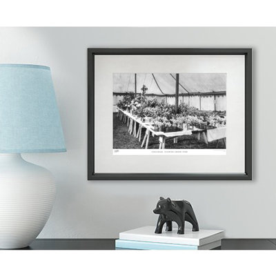 Chilham, Flower Show 1908 - Single Picture Frame Print