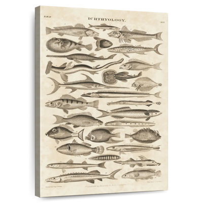 Ichthyology