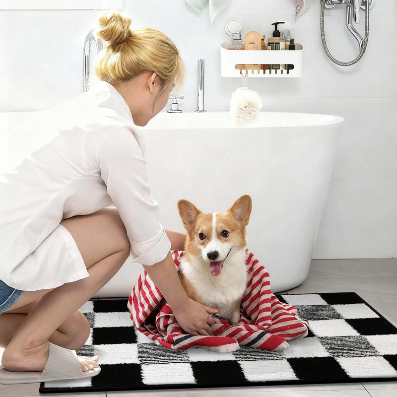 Absorbent Washable Bathroom Rug, Black