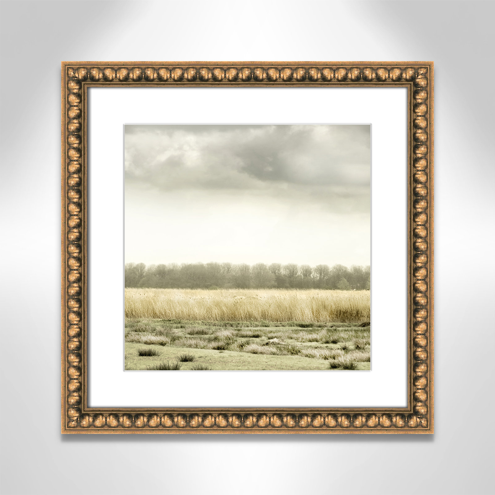 Henri "Meadowland" Print by Danita Delimont, 18.25" H x 18.25" W, Gold Bead