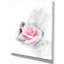 Impression sur toile tendue-29507002