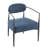 Terrell Fabric Upholstered Accent Armchair-106754730-106754731