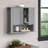 Giancarlos Bathroom Cabinet