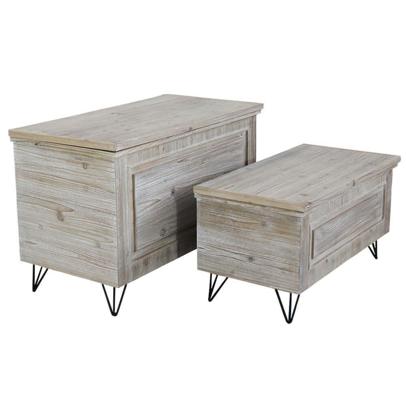 Ronkonkoma 2 Piece Accent Trunk Set