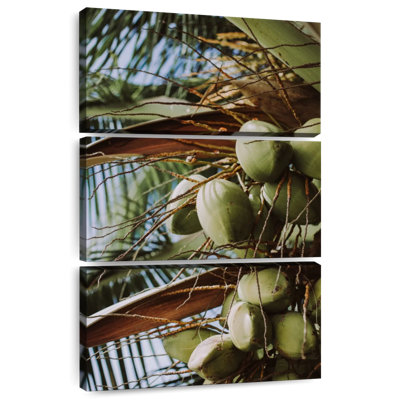 Noix de coco fraîches Harnek