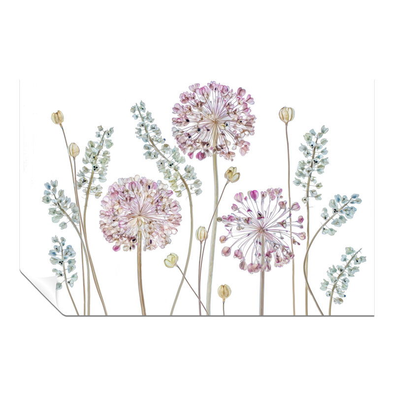 Pastel Pink Flower And Green Seed Pods - No Frame Print, 76cm H x 51cm W