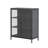 Benzion 39.96-inch Black Two Door Metal Storage Cabinet with Clear Doors