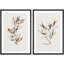 Aquarelle, pastel, forêt, plantes, nature, désert, illustrations, art rustique minimal-101185891-101185893
