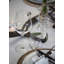 Cabernet Glass White Wine Glass-1807550208