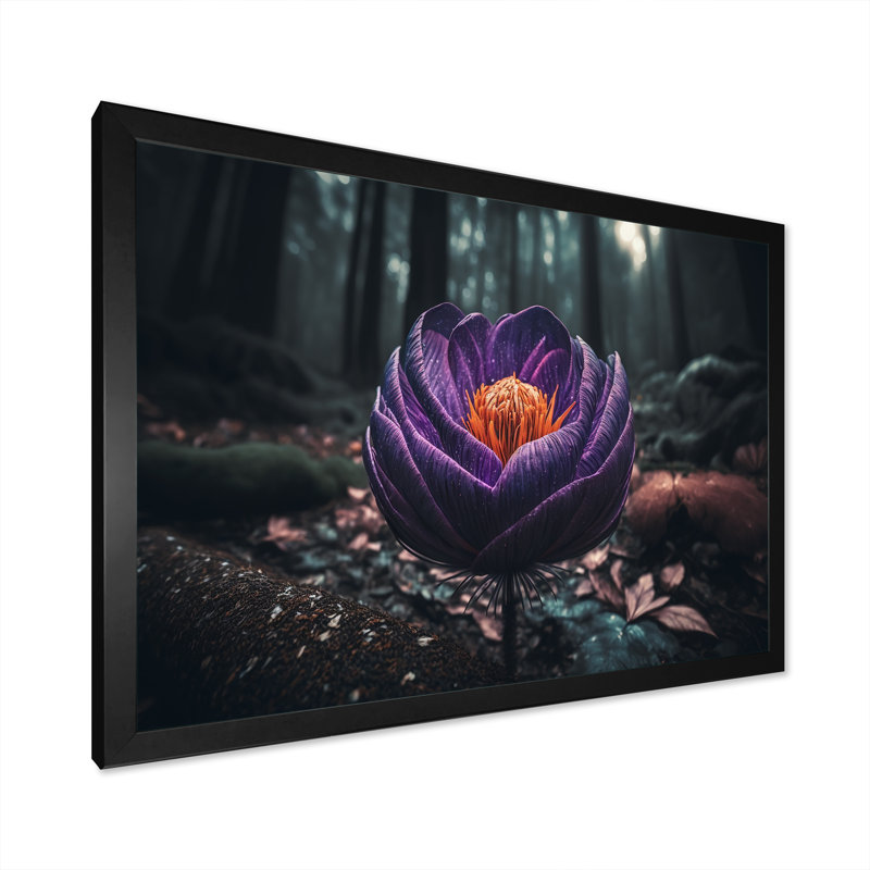 «A Blooming Crocus Flower in Winter I», photographie sur toile, Impression noire sur toile encadrée