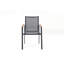 Lylli Patio Dining Armchair