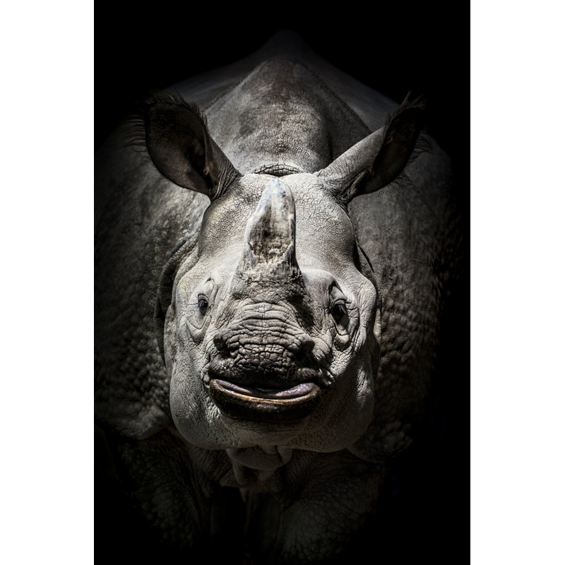 Portrait de rhinocéros par Zocha_K, H 18 po x l 12 po