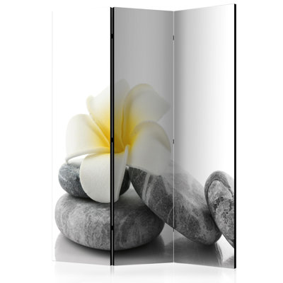 Ondina Solid Wood Folding Room Divider