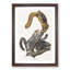 Cat Squirrels by J.W. Audubon - Picture Frame Graphic Art Print-55513683-55513685