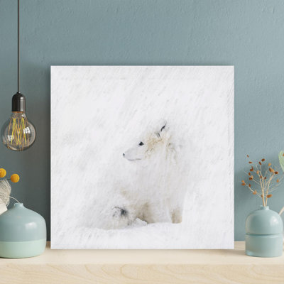 " Fox On Snow "