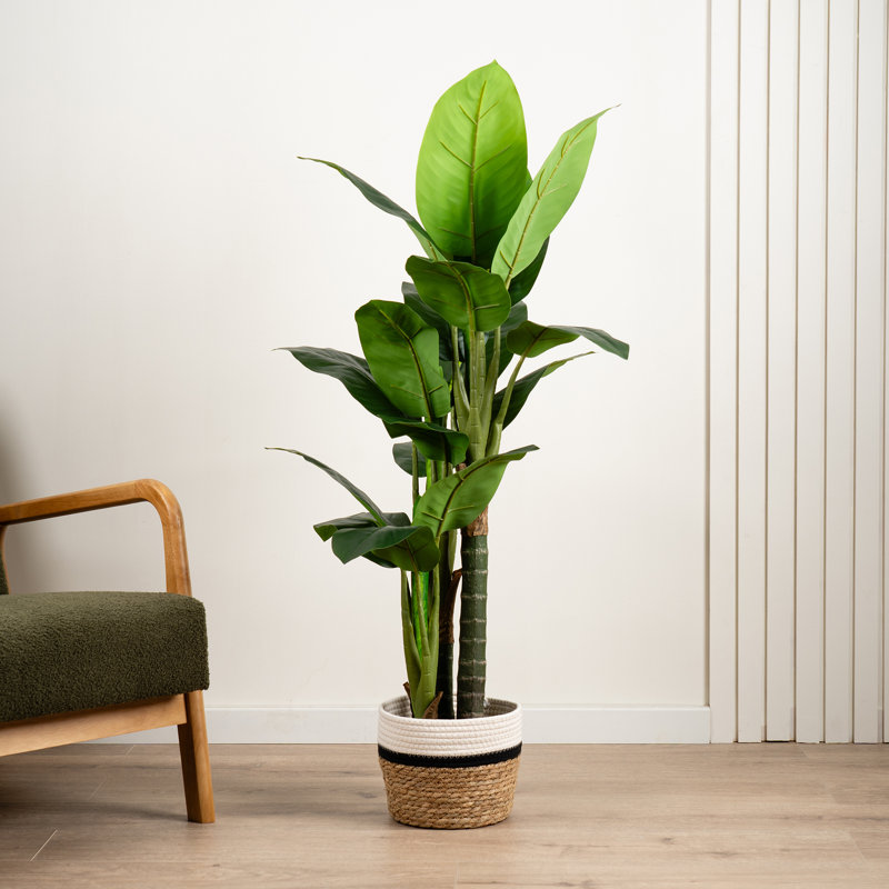 120cm Faux Real Touch Dieffenbachia