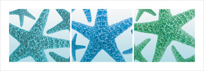3 Piece No Frame Print