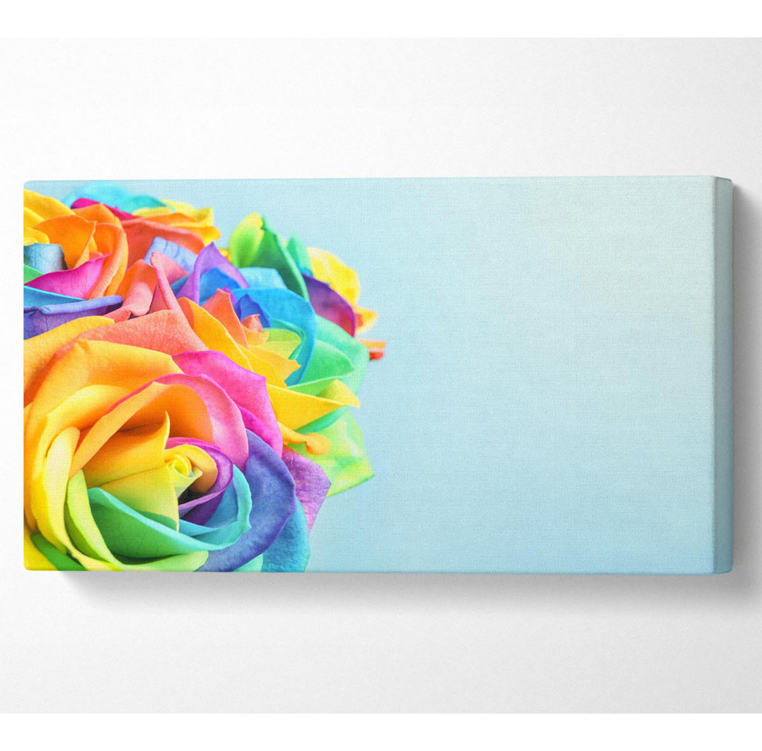 Rose Farbe Regenbogen Breite Leinwand drucken