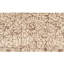 Wool Floral Area Rug in White