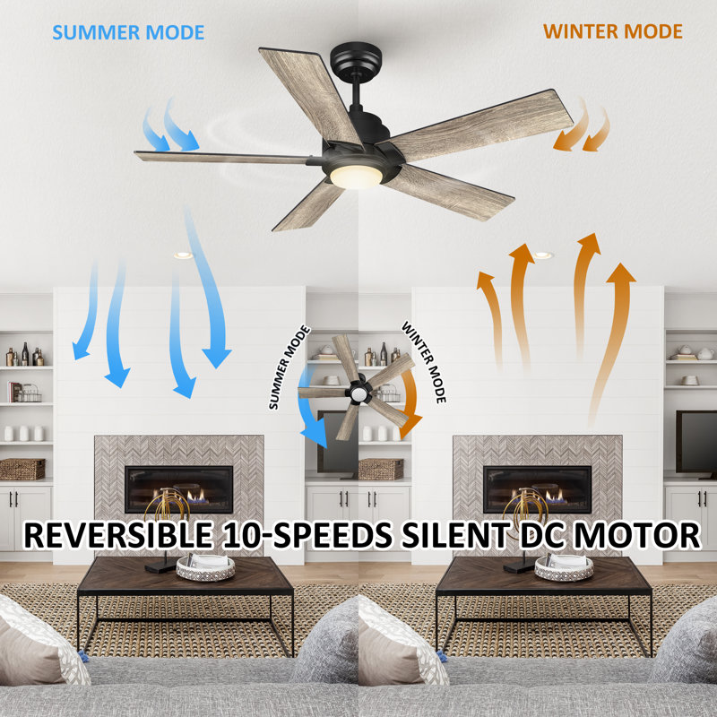 48-Inch  5-Blade Smart Ceiling Fan with Light, Black