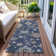 Machine Washable Indoor/Outdoor Segin ACN1218 Rug