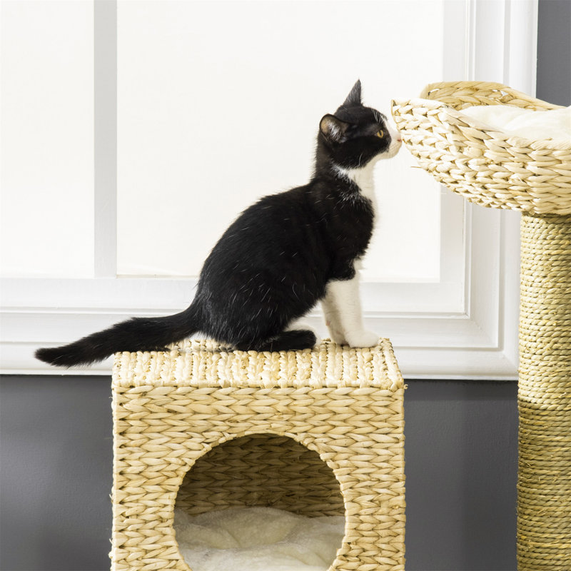 Jazmine 100cm H Cat Tree