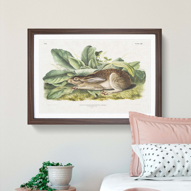 Black-Tailed Hare by J.W. Audubon - Framed Print, 27cm H x 36cm W x 2cm D, Walnut Framed