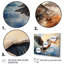 Majestic Pelican Seabird II - Pelican, art mural-852049386-852049390