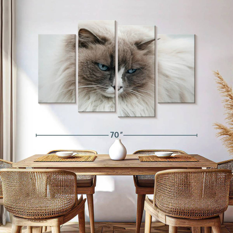 Brampt Himilayan Cat Close Up In Iceland, 42" H x 68" W