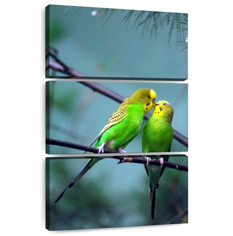 Brampt Kissing Parakeets, 45" H x 28" W