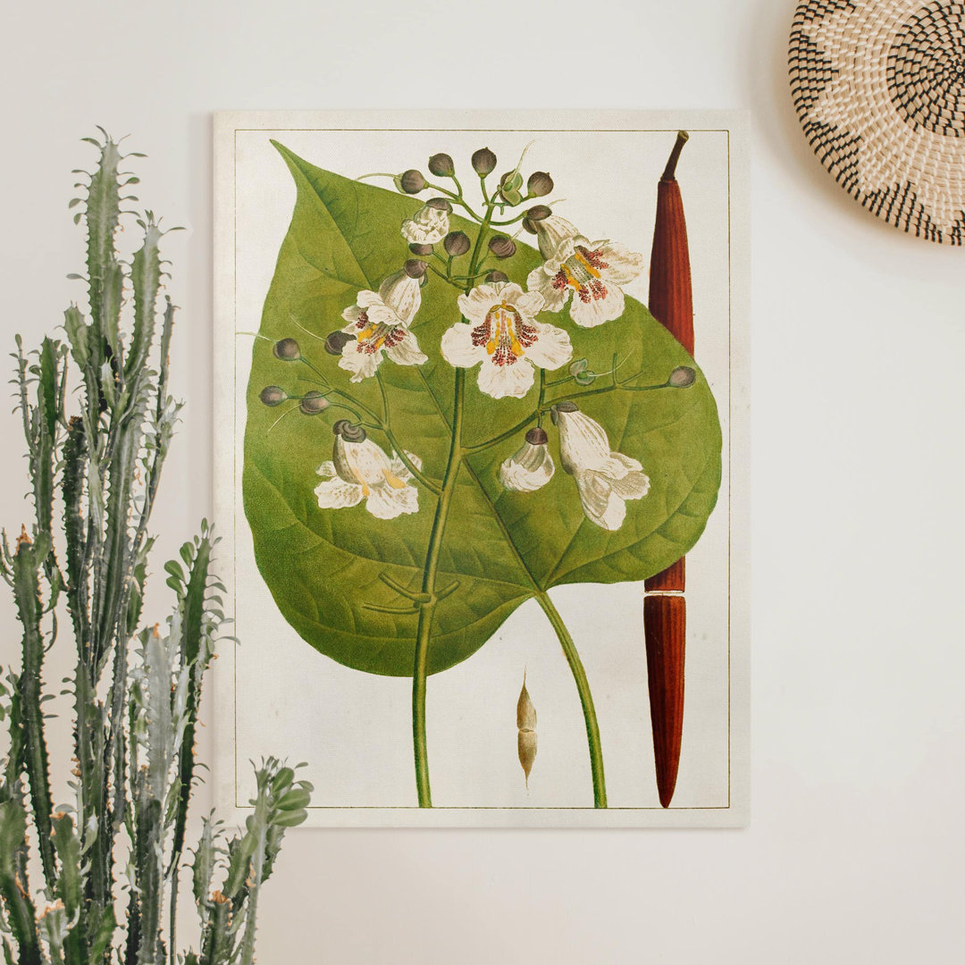 Leinwandbild Leaf Blossom Fruit V Table