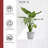Ecopots Oslo Indoor/Outdoor Modern Recycled Plastic Flower Pot Planter-80209421-80209423