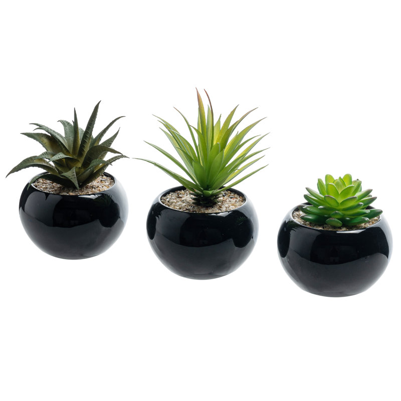 Ensemble de 3 plantes succulentes artificielles en mini jardinière noire