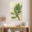 Plante grasse Harnek-108545233