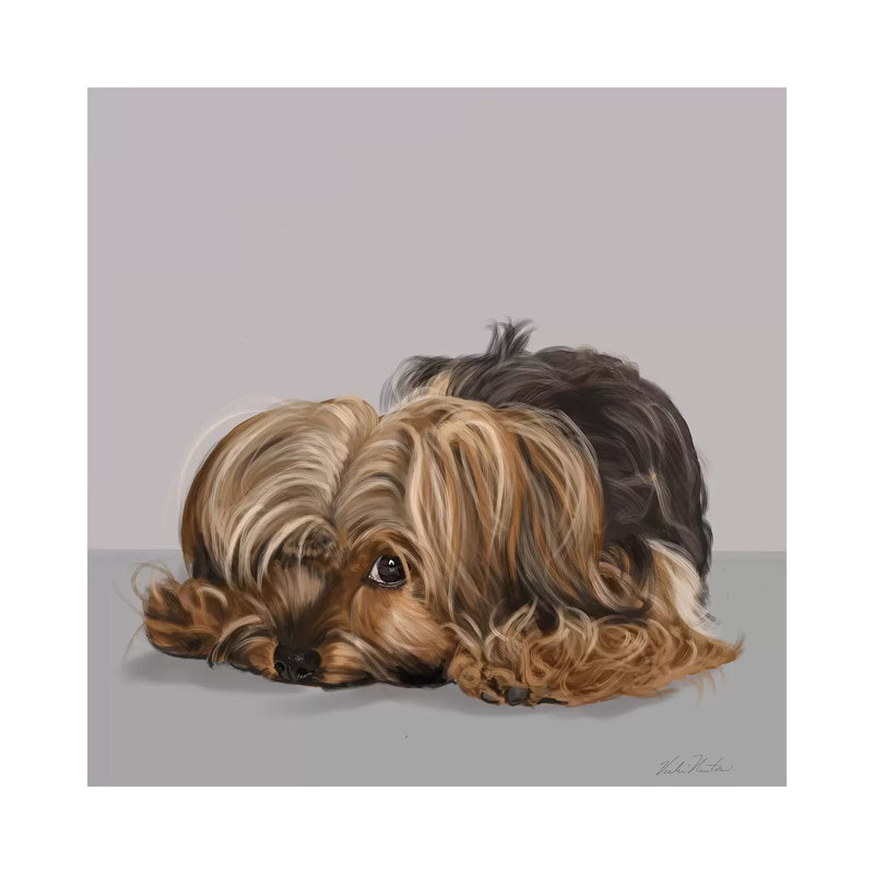 «Yorkshire Terrier One Eye Open» par Vicki Newton - reproduction d'art, Aucun mat, Toile tendue