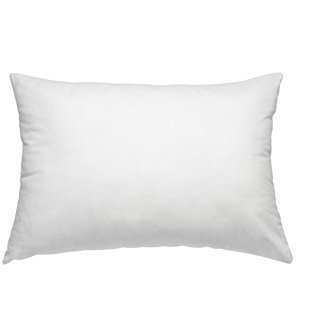  Rectangular Pillow Insert