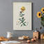 «Traditional Botanical III», impression sur toile tendue-1594425904