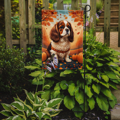 Drapeau d'automne Cavalier Spaniel