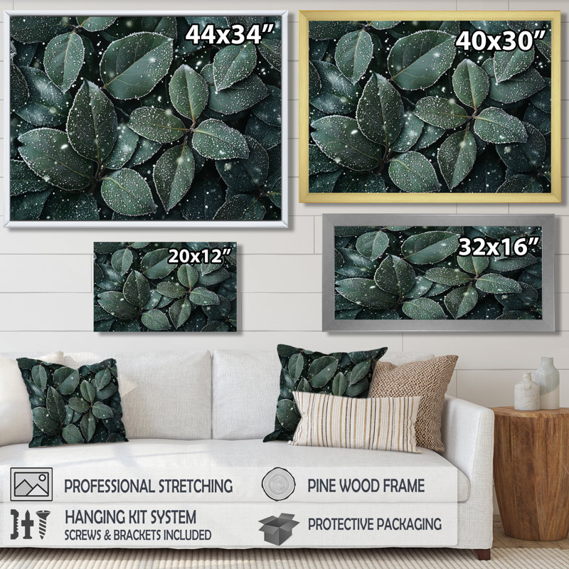 Jacorion Evergreen Leaves In Snow II - feuilles, art mural sur toile, Reproduction encadrée d'une seule photo