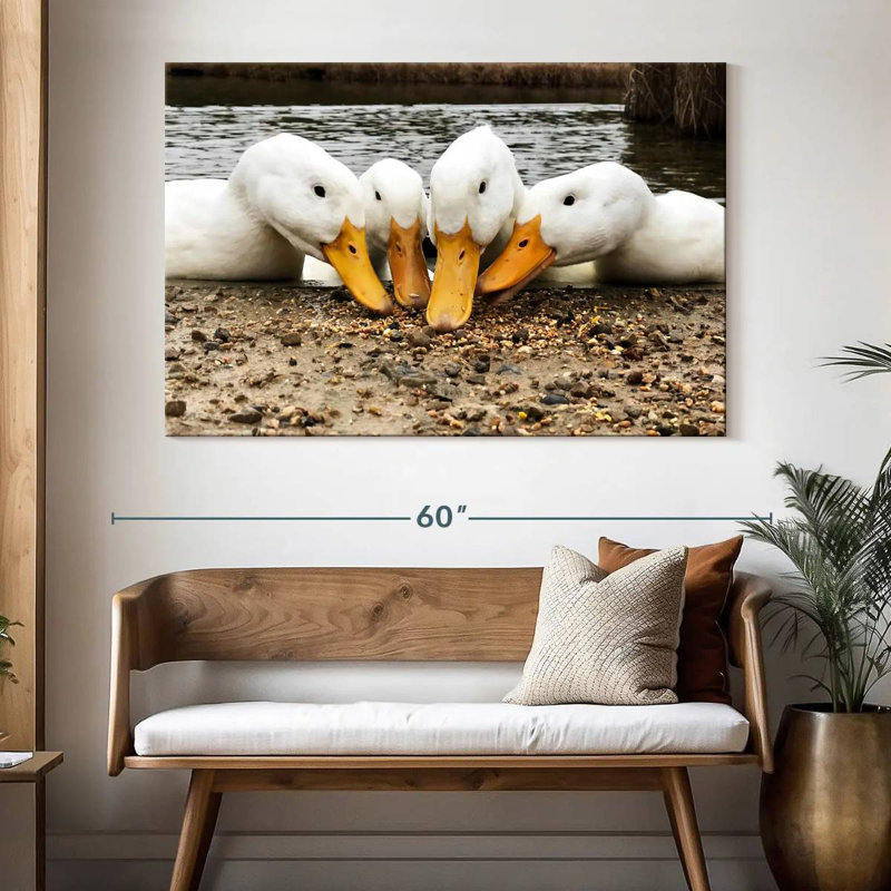 Pekin Ducks de Brampt, H 34 po x l 51 po