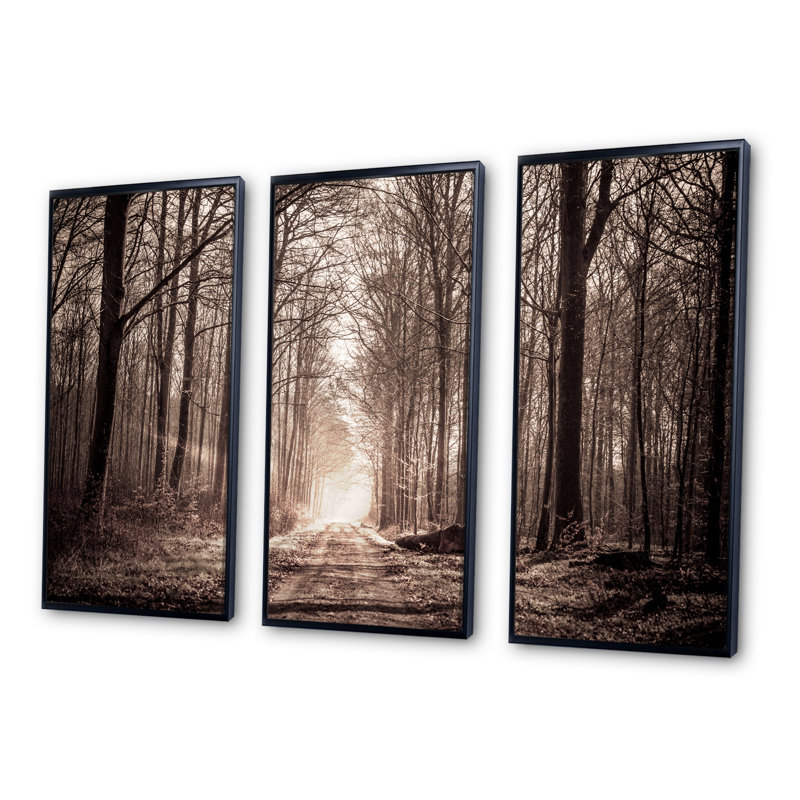 «Forest Trail In Sepia», photographie sur toile flottante 3 pièces, Noir, noir, noir, noir, H 28 po x l 36 po