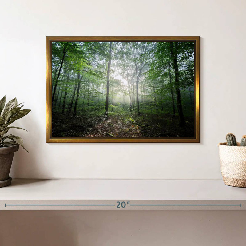 Lighting Forest II, Cadre flottant doré, 13 po x 9 po