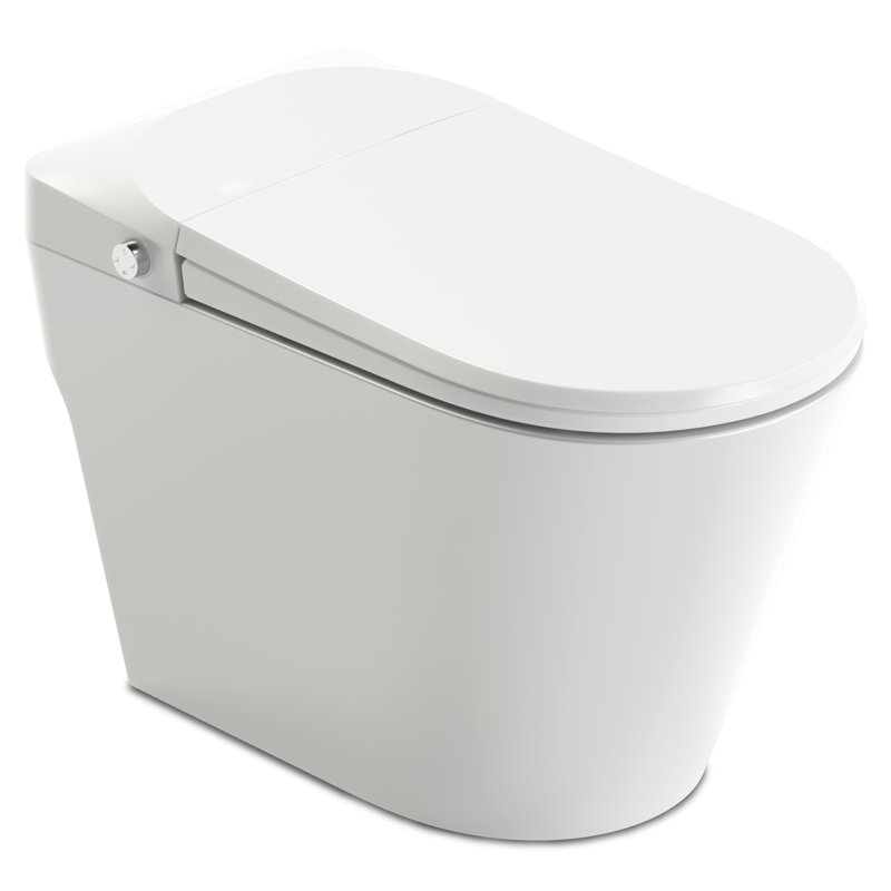 ANZZI Echo 1.28 Gallons GPF Elongated Floor Mounted Bidet Toilet (Seat Included), White