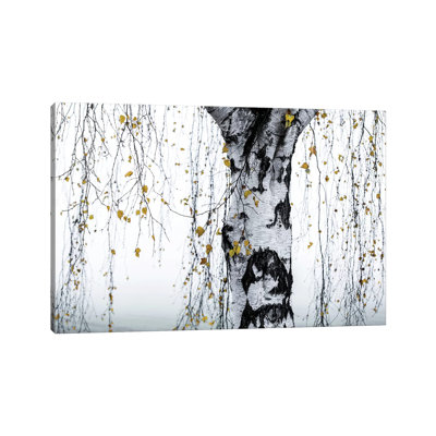 Birch Tree I - Estampe numérique sur toile tendue avec châssis