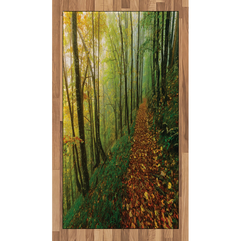 National Parks Nature High Density Long Fiber Poly Threads Decorative Area Rug Carpet, Rectangle 2'7" x 5'