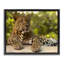 Cadre flottant Leopard-745814807-745814806