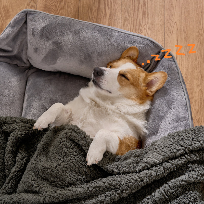 Microfiber / Polyester Pet Blanket, 203cm L x 152cm W