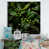 White Floater Framed