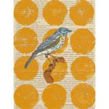 Bird Study I Print by Meredith Macleod