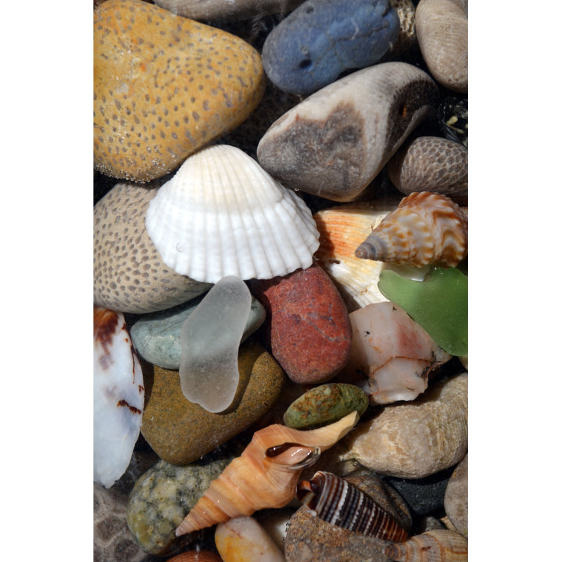 Stones And Rocks And Shells IV - Wrapped Canvas Art Prints, 46cm H x 30cm W